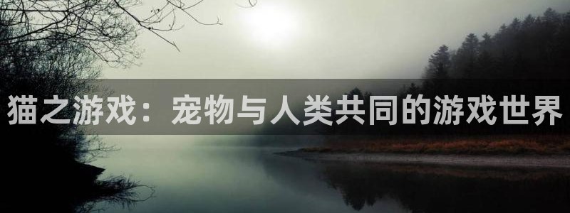 沐鸣注册登录：猫之游戏：宠物与人类共同的游戏世界
