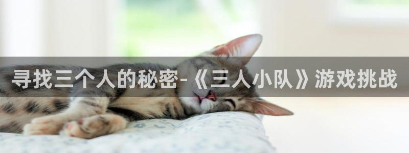 沐鸣注册登录平台：寻找三个人的秘密-《三人小队》游戏挑战