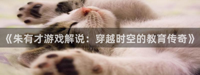 沐鸣官网：《朱有才游戏解说：穿越时空的教育传奇》