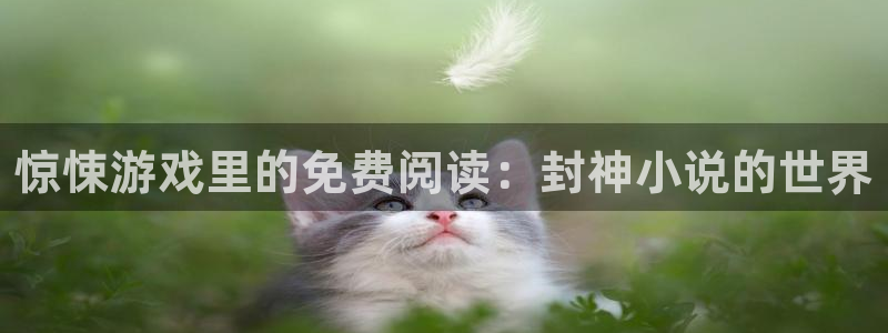沐鸣登录地址：惊悚游戏里的免费阅读：封神小说的世界